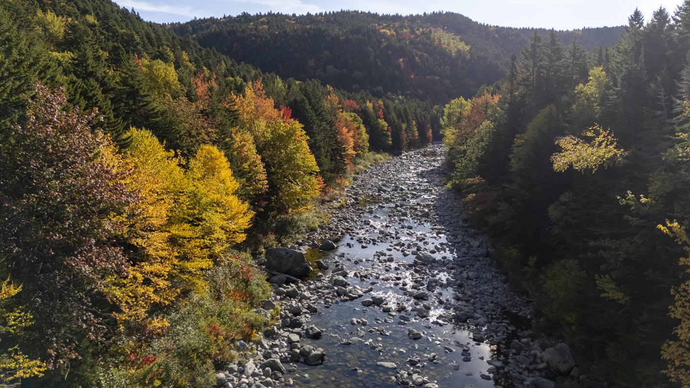 https://cdn.unenvironment.org/2025-12/20250925UNEP%20Decade%20on%20Ecosystem%20Restoration_Canada%20Salmon%20Restoration_Todd%20Brown_81.jpg