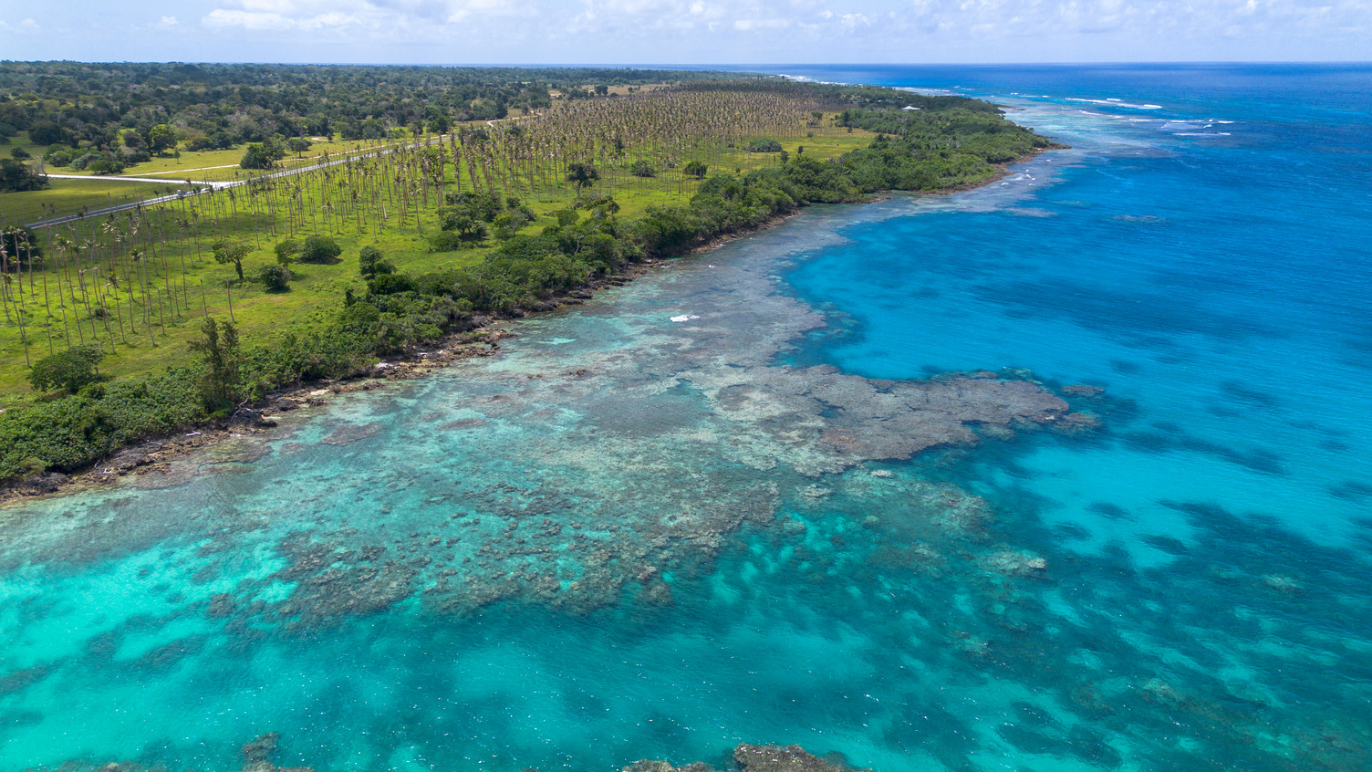 Foto de Vanuatu 