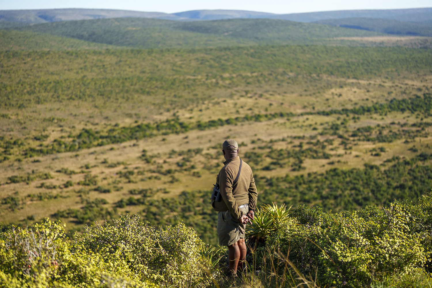 World Desertification and Drought Day 
