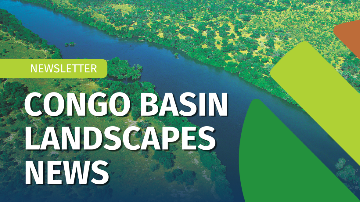 Newsletter banner image 