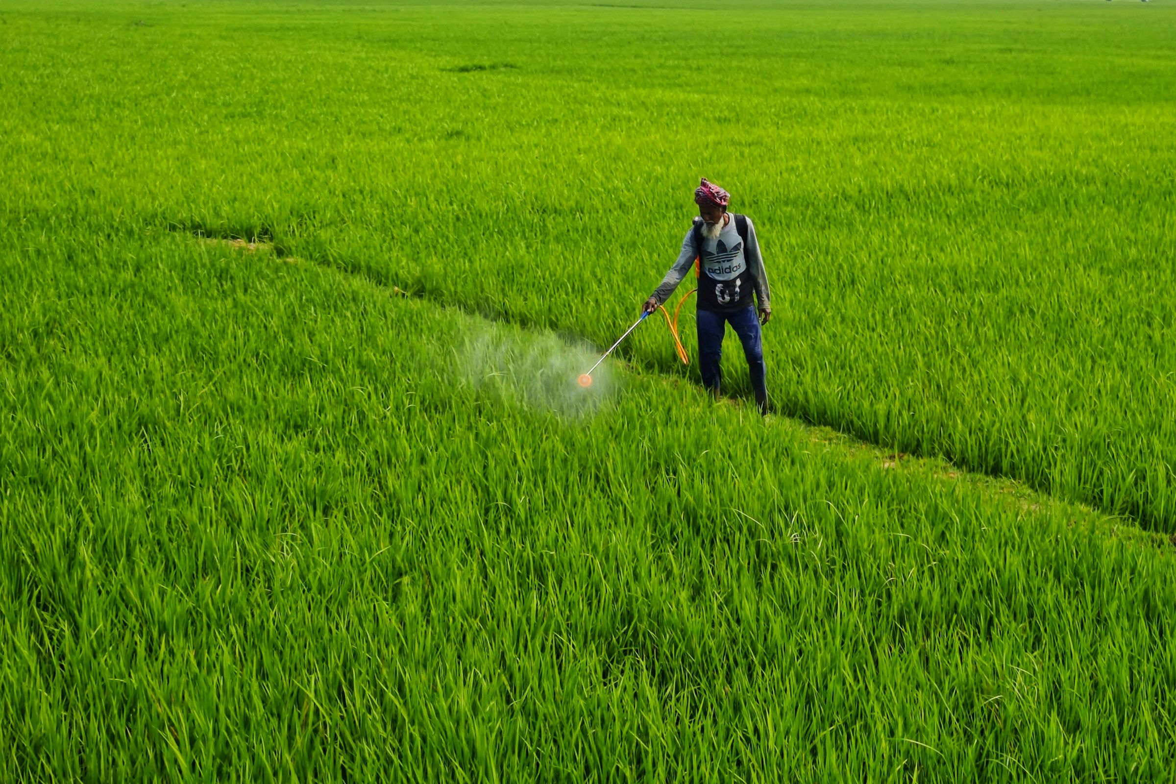 Farmer spraying chemicals on farm