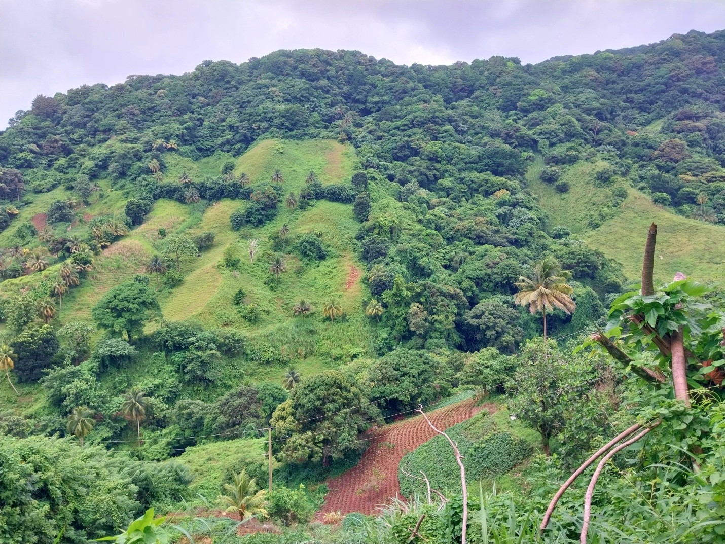 St. Vincent Grenadines  landscapes