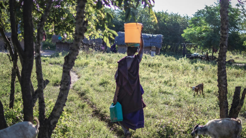 photo Jeff Ackley/Unsplash. Photo woman with a bucket by Lisa Marie/Unsplash.