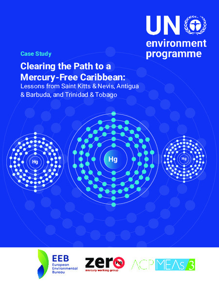 Case Study: Clearing the Path to a Mercury-Free Caribbean - Lessons from Saint Kitts & Nevis, Antigua & Barbuda, and Trinidad and Tobago