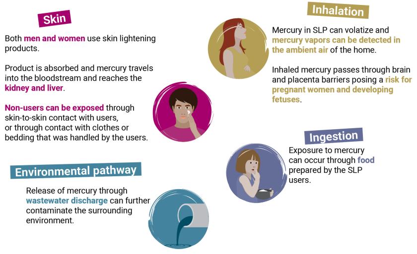 Exposure to mercury in cosmetics