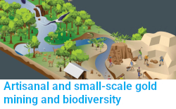 AsGM and biodiversity