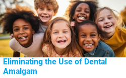 Dental amalgam Hg