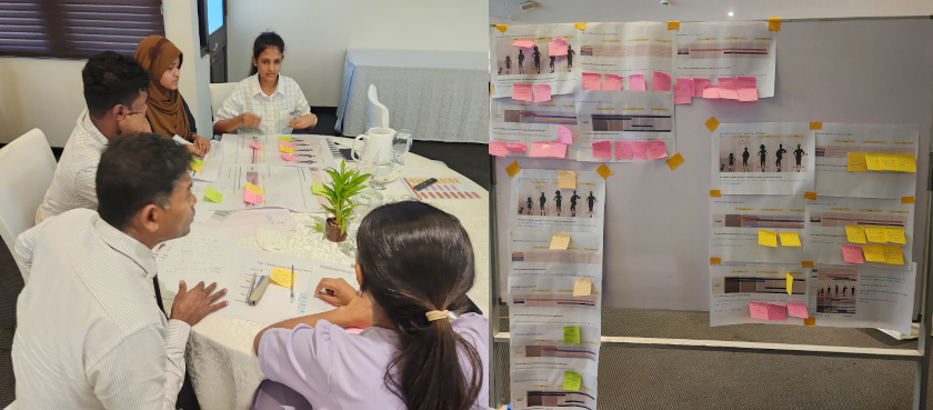Participants and board