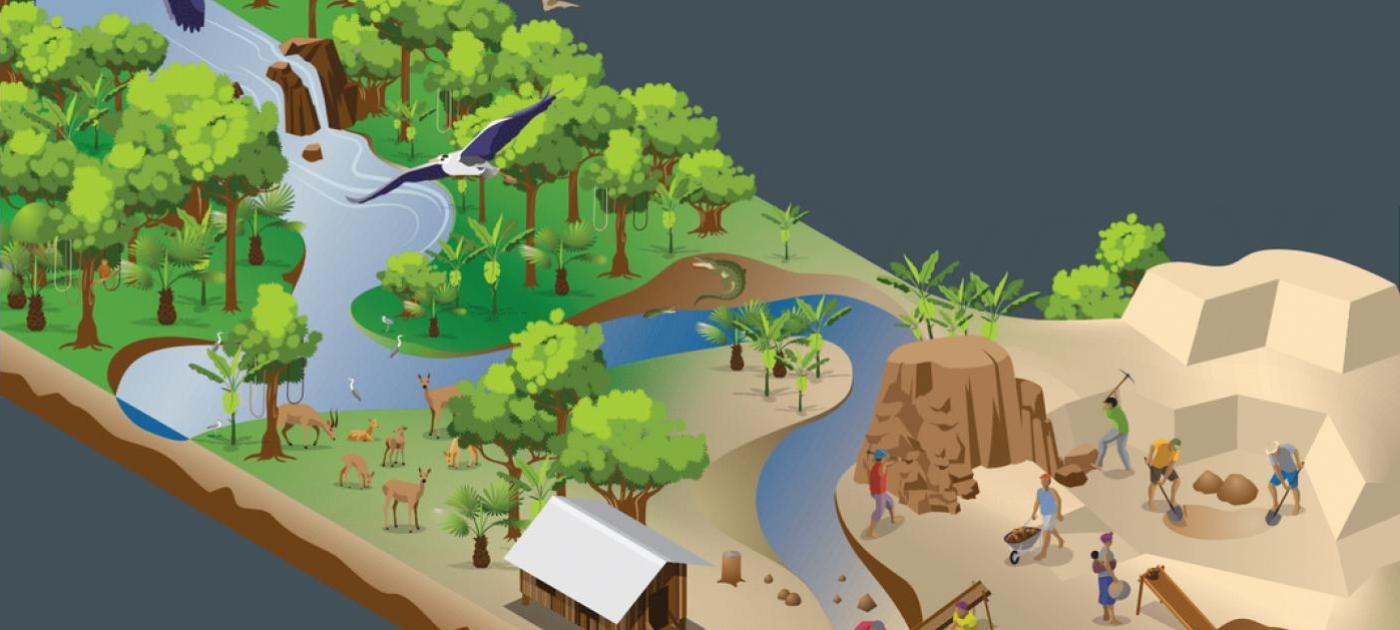 Artisanal and small-scale gold mining and biodiversity