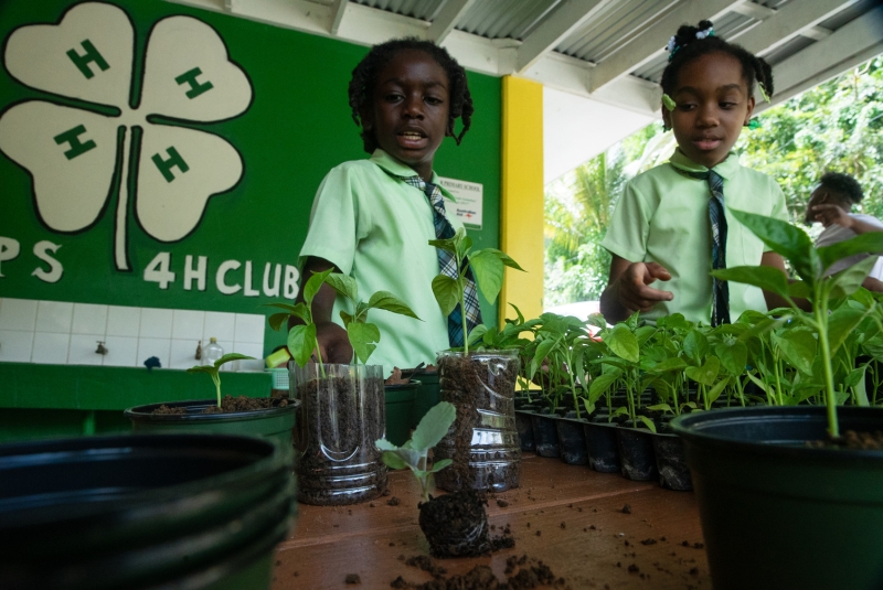 Students in the Dominican Republic