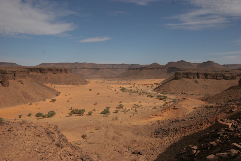 Bare land