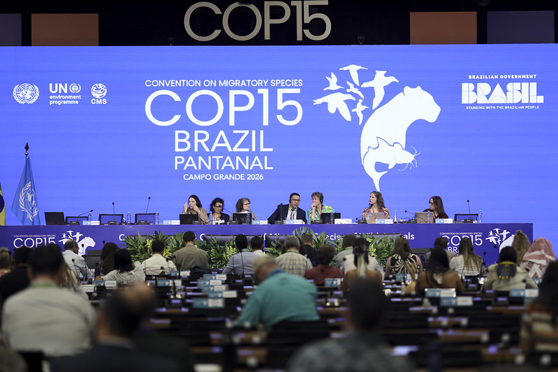 Participants at the CMS COP15 in Brazil