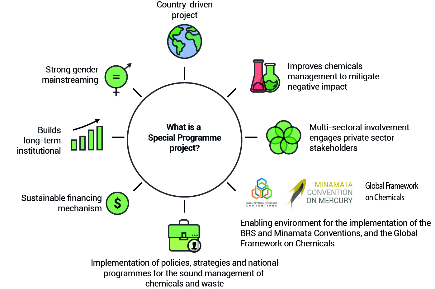 What is a Special Programme project?