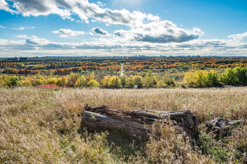 A log sits in open field with rolling hills behind it