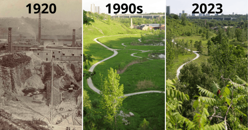 A series of three photos showing how an industrial site was turned into a wetland.&nbsp;
