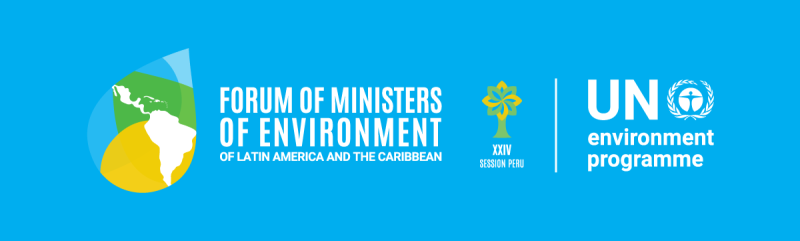 Forum of Ministers