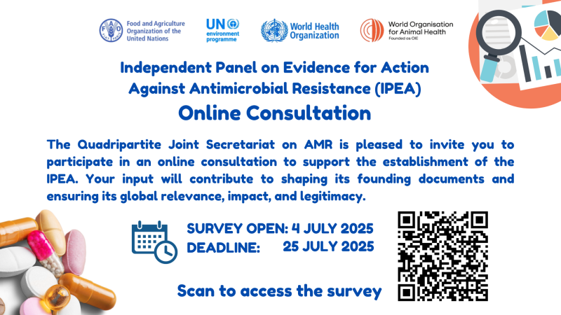 survey flyer
