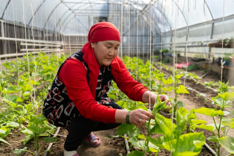 A woman planting vegetables