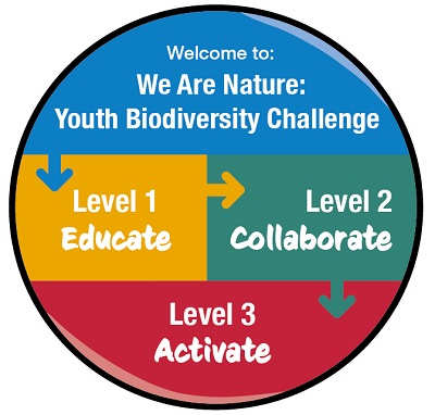 Infographic link 