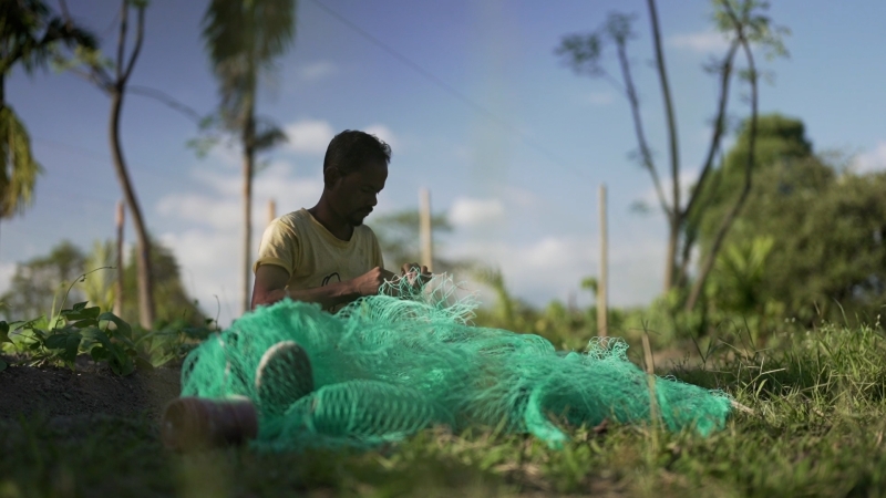 Organic farming in Sikkim