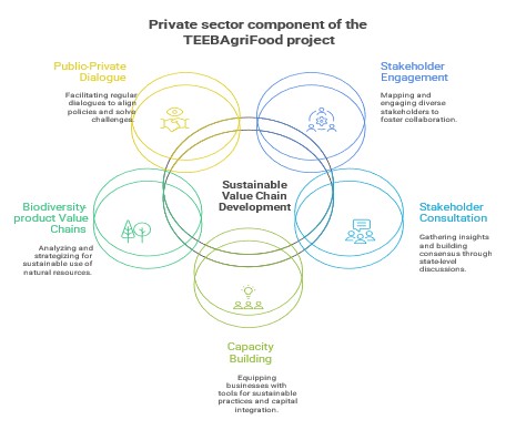 Private sector component of the TEEBAgriFood project