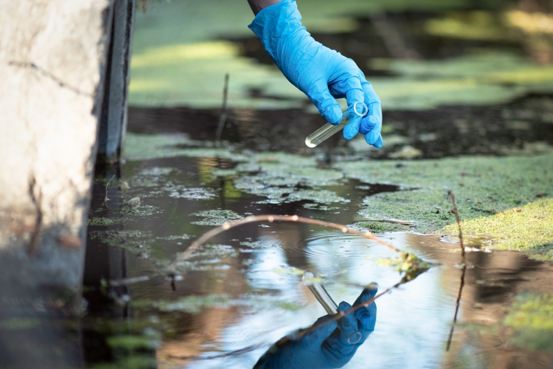 Hand with glove collecting water from a pond in a test tube