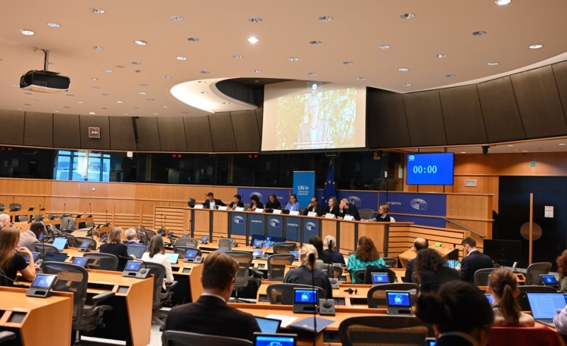 UNEP Executive Director video message on screen, with a view of the meeting room from the back of the room. Panelists are seated under the large screen on an elevated speakers platform, in the front of the room