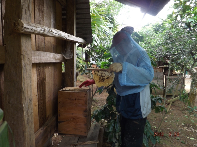 A SoGreen beekeeper with a hive.
