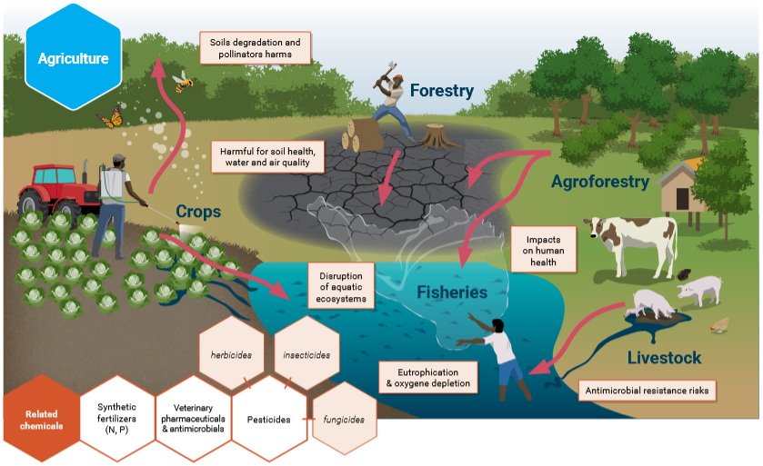 Impact of agriculture sector on biodiversity