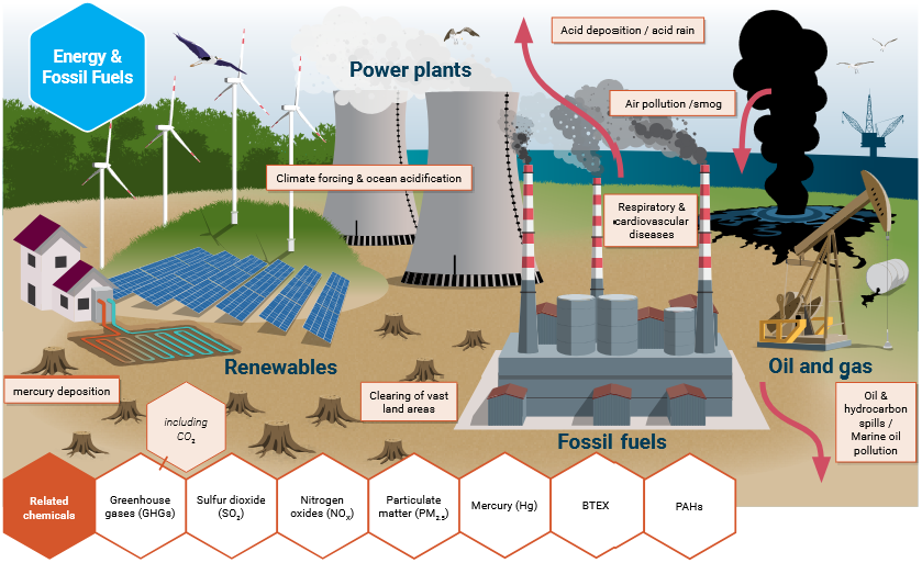 Impact of energy sector on biodiversity