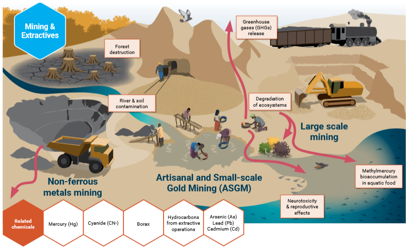 Impact of mining and extractive sector on biodiversity