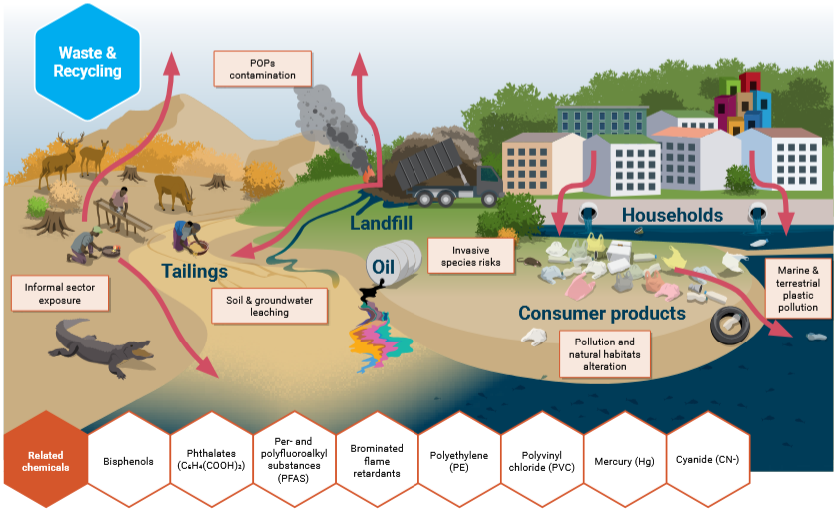 Impact of waste sector on biodiversity