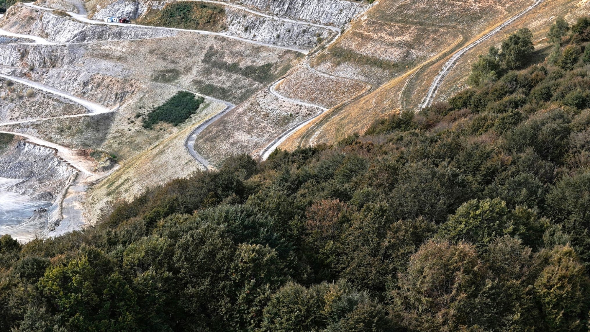 Aerial view of forest and bare land