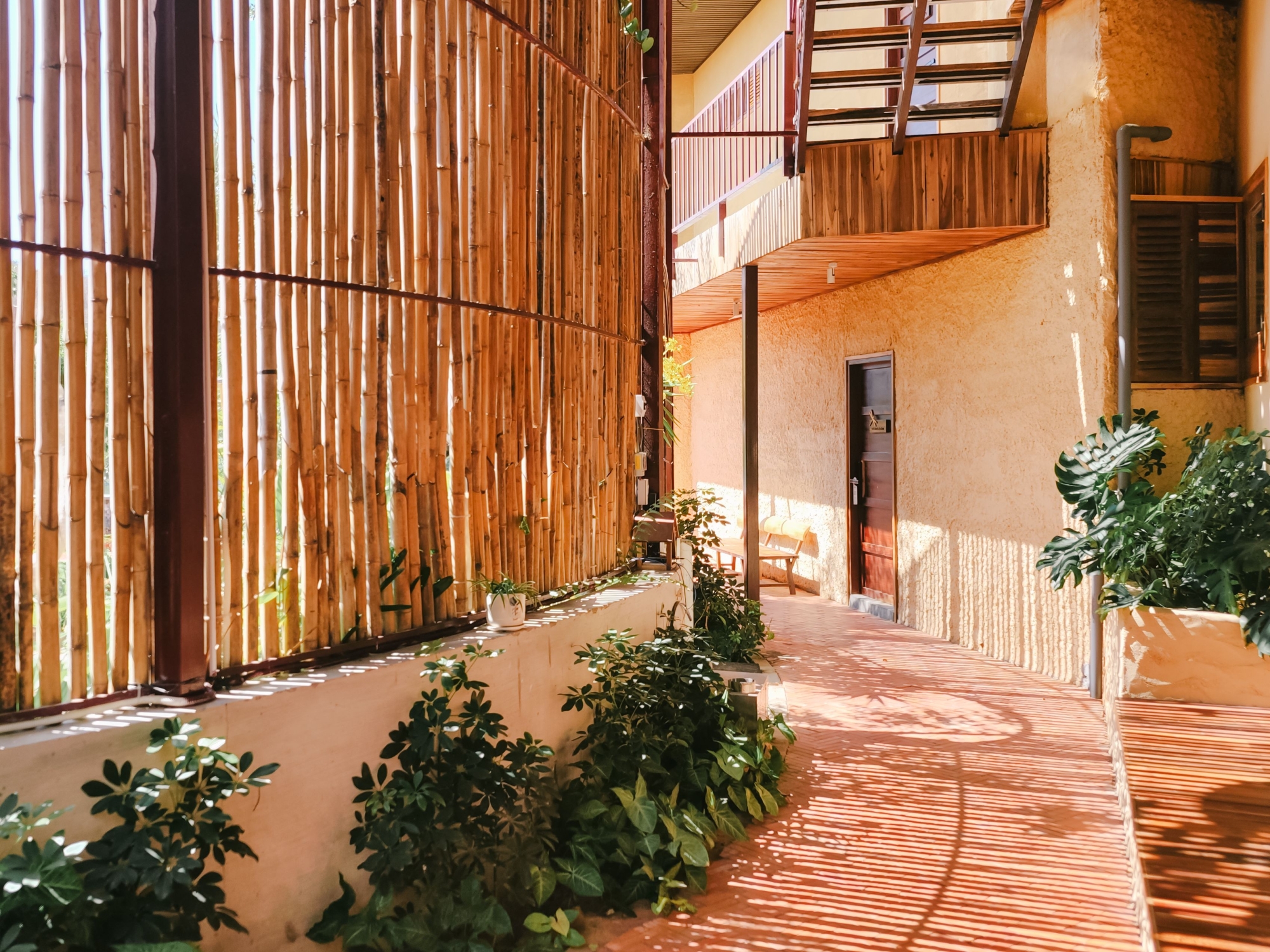 A shaded area with bamboo