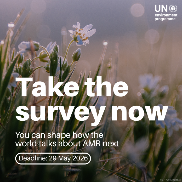 Survey social media card