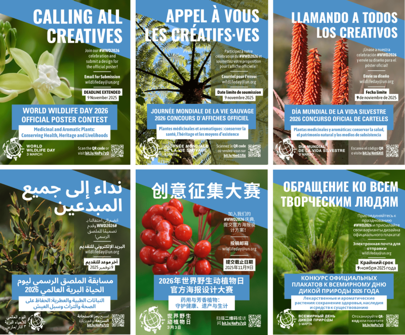 World Wildlife Day 2026 Official Poster Contest