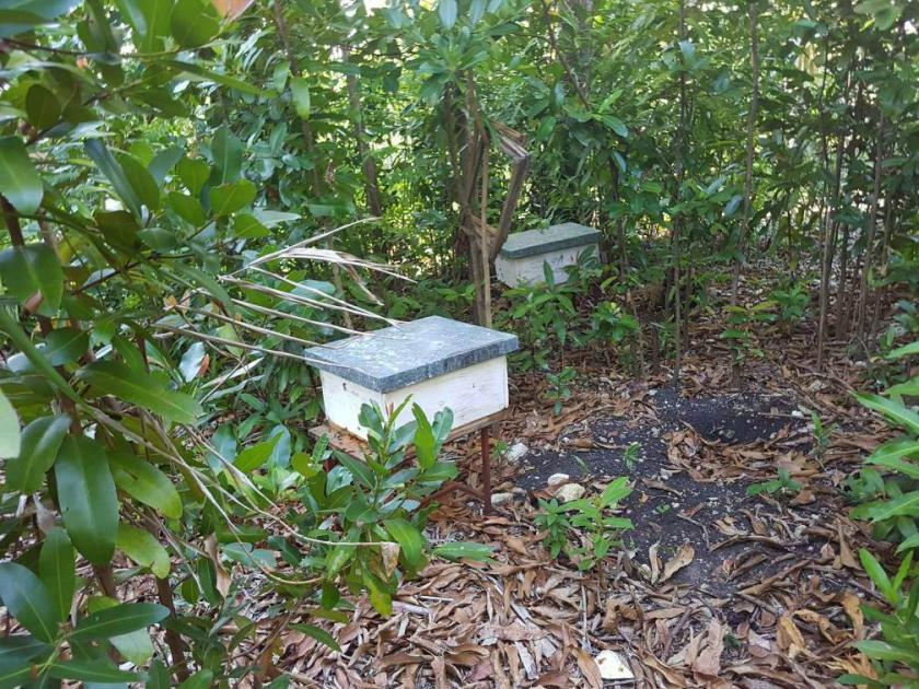 ''