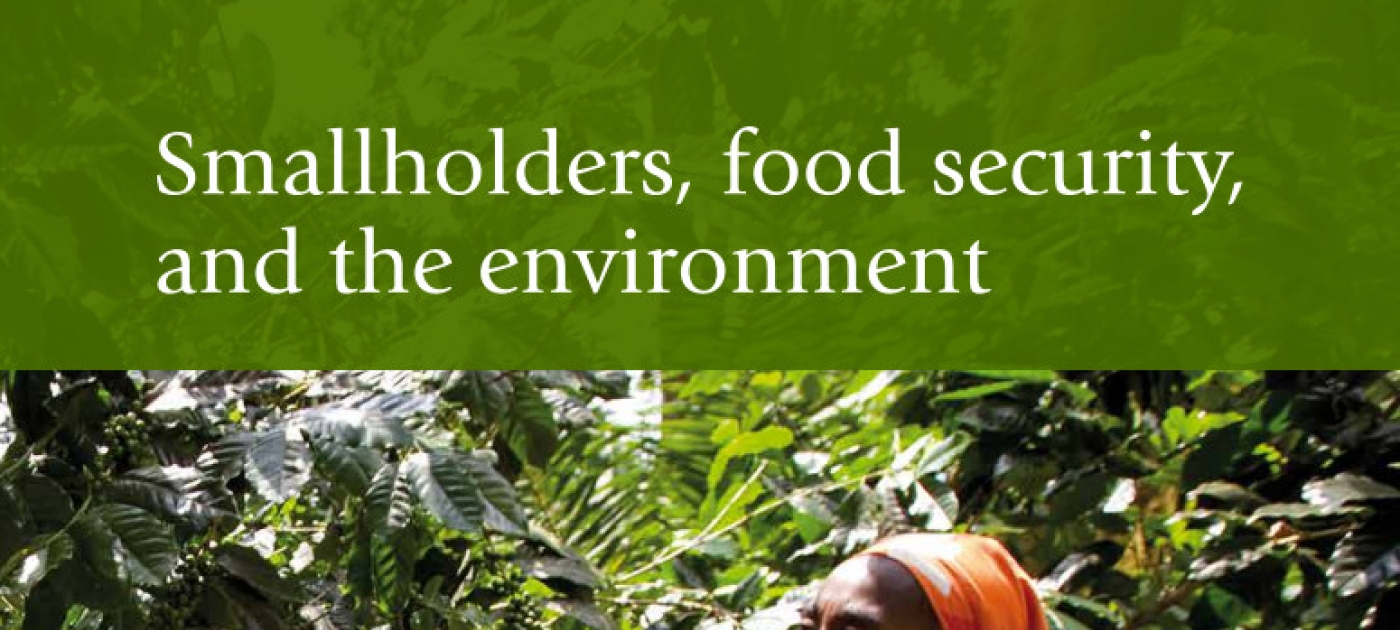 Backing and Enabling Smallholders Can Unleash New and Sustainable Agricultural Revolution