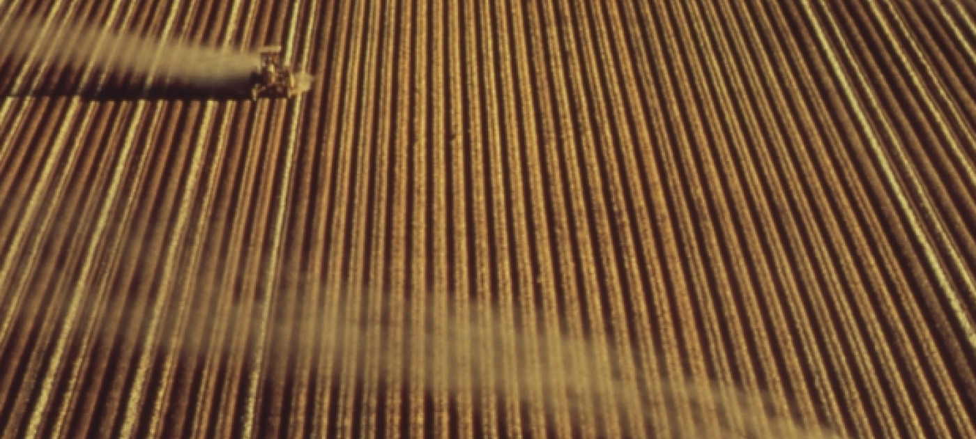 Scientists shine a spotlight on the overlooked menace of nitrogen