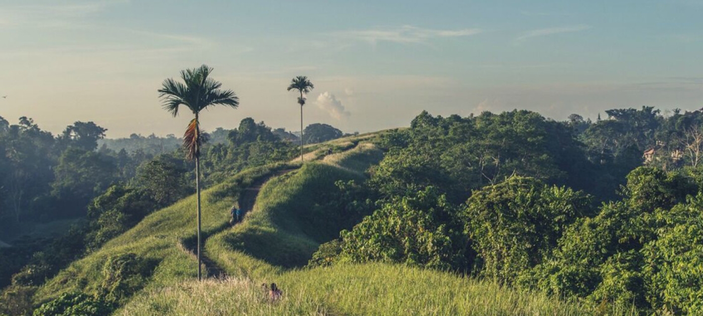 UNEP Implementing Principle 10 of the Rio Declaration