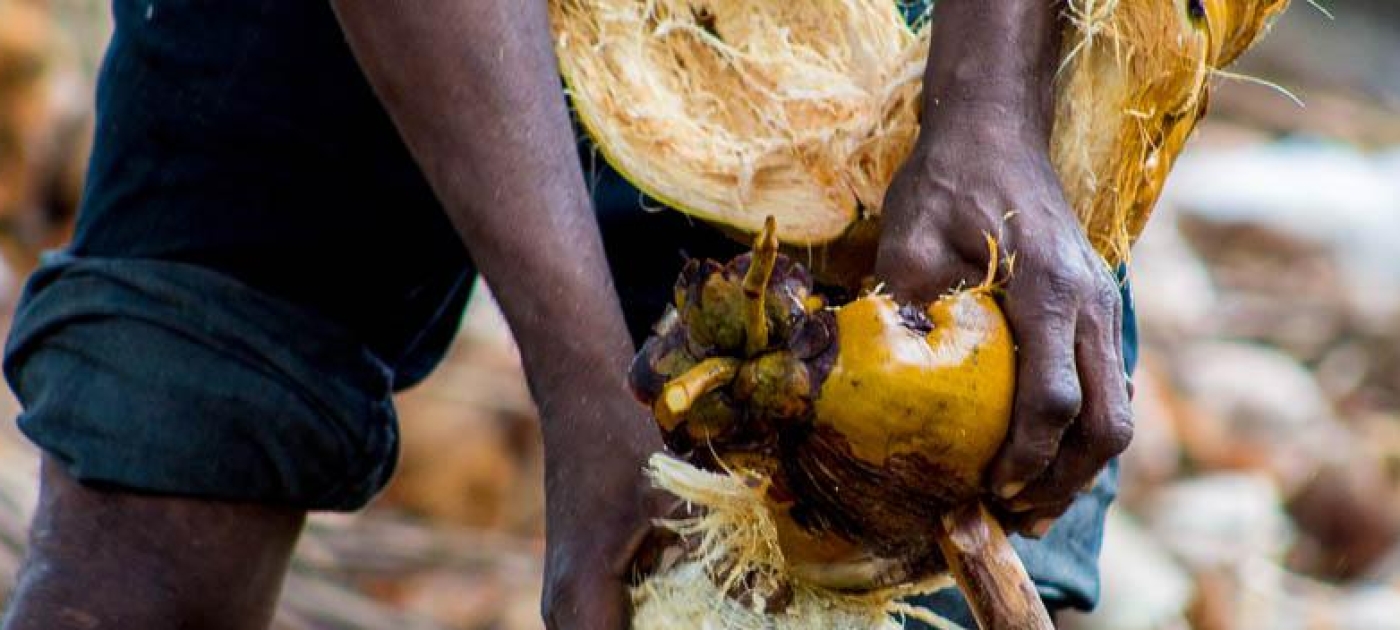Mozambique: Investing in Environment Pays off for the Poorest