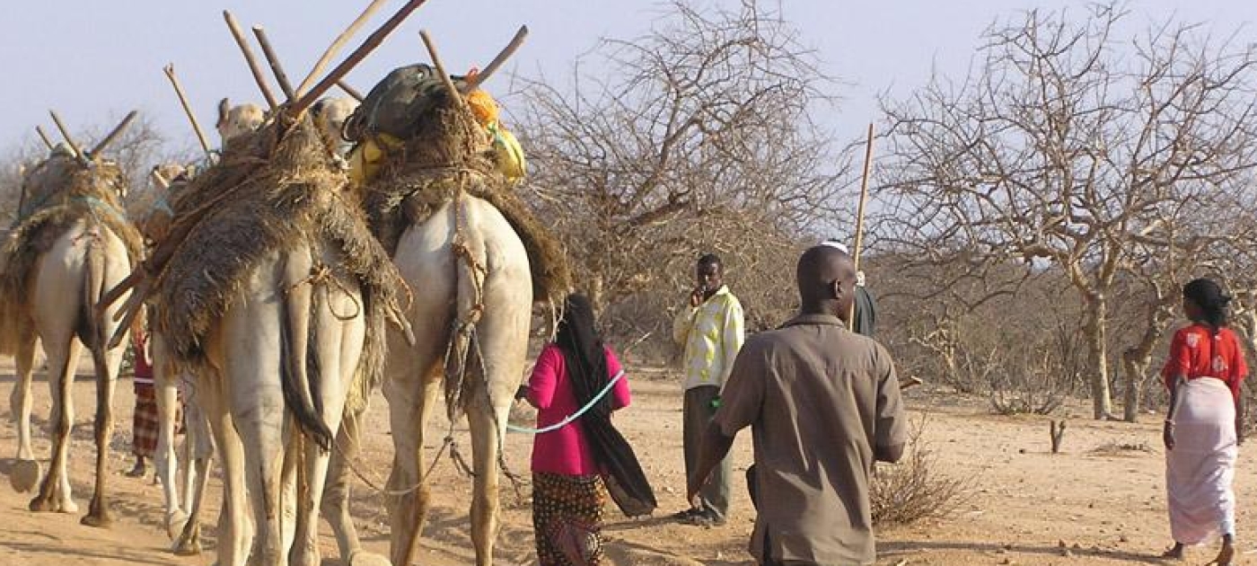 Land restoration key to human well-being
