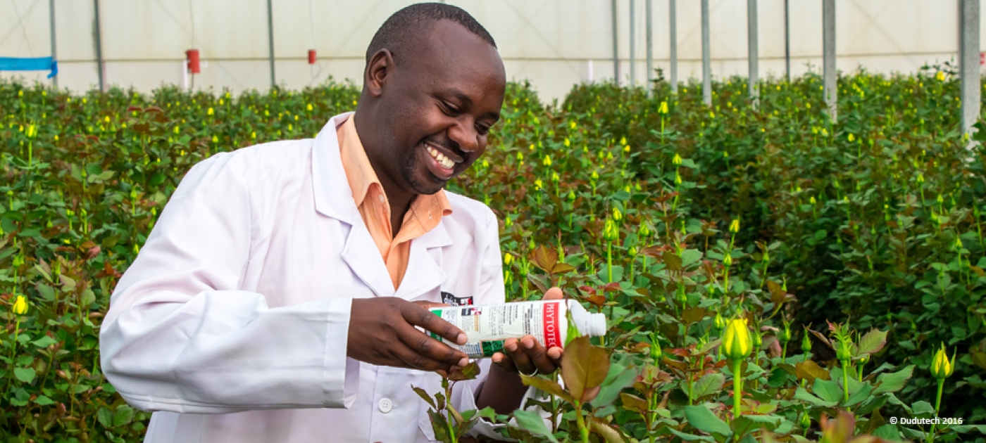New pest control techniques for Kenya’s flower hub
