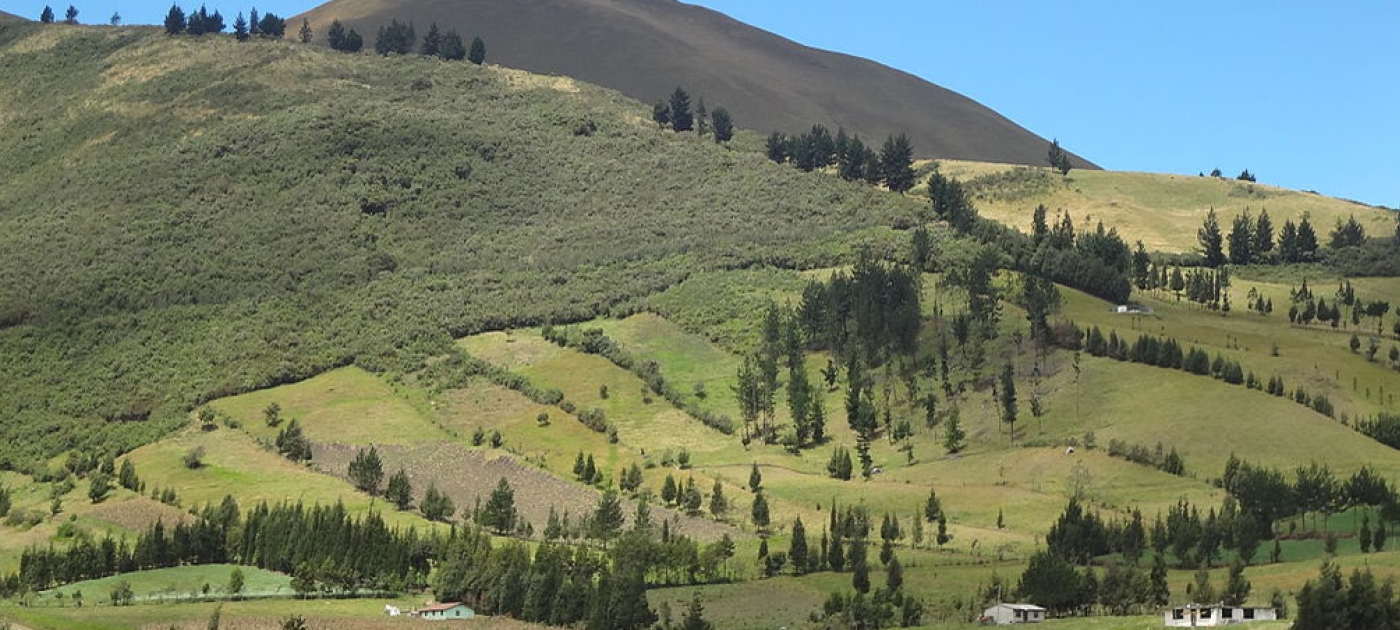 Conservation agreements help preserve Andean ecosystems