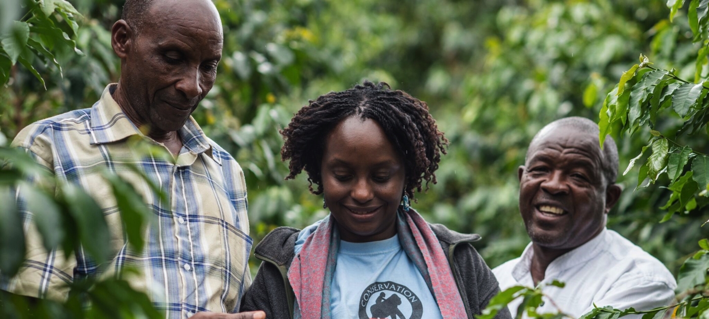 Fifteen of the best: African start-ups receive prestigious SWITCH Africa Green-SEED Awards