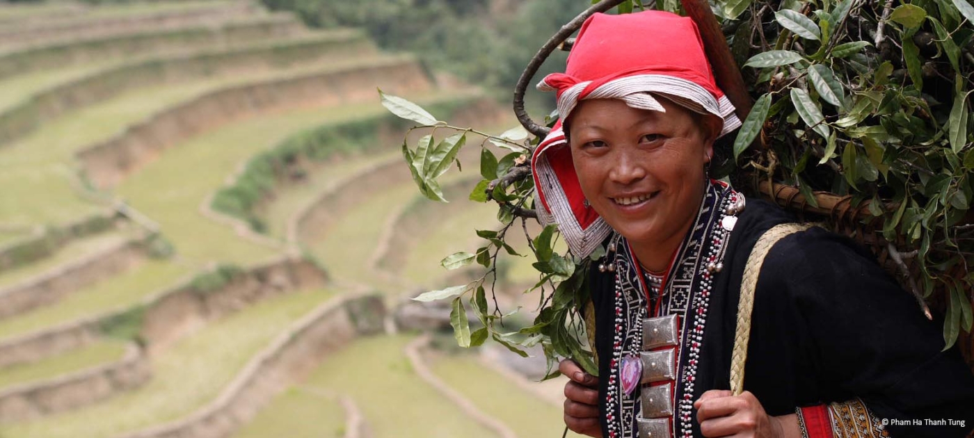 Genetic resources for the benefit of all