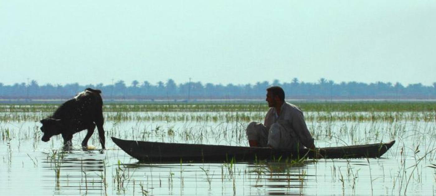 Crunch time for Iraqi marshlands