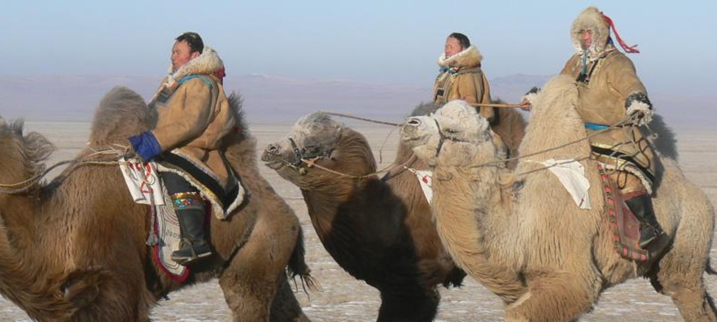 Putting sustainable pastoralism on the global agenda