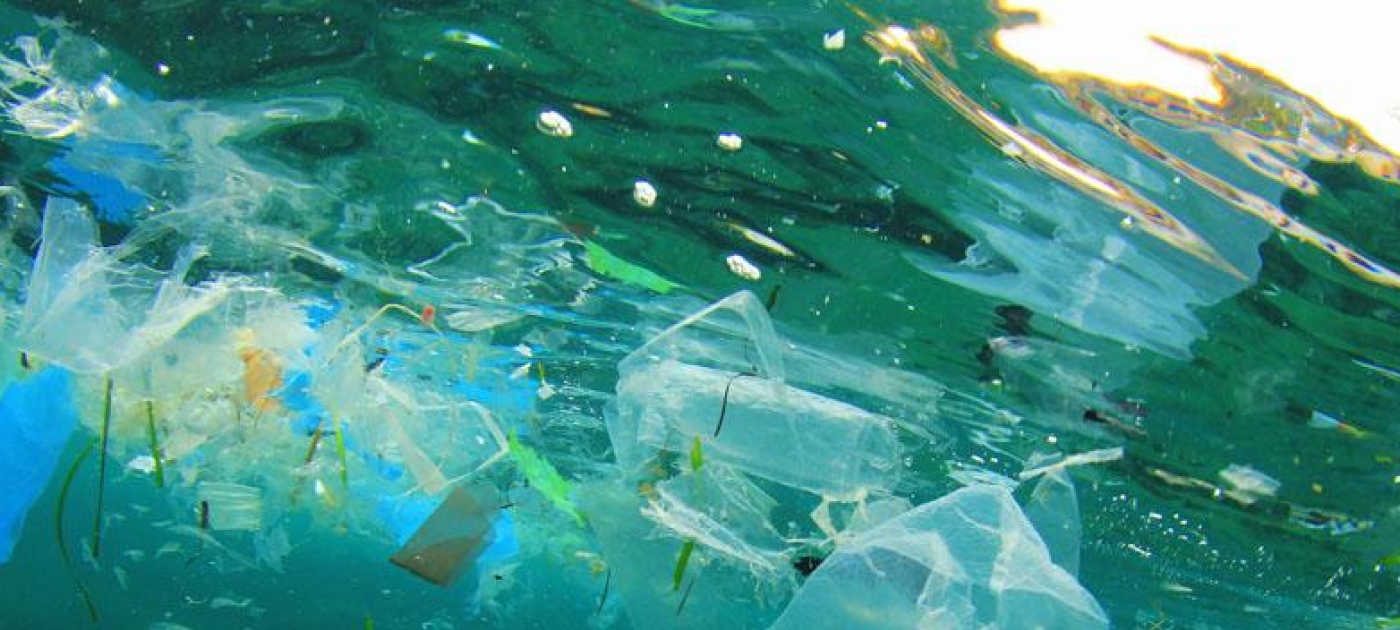 Plastic and Microplastics in our Oceans – A Serious Environmental Threat