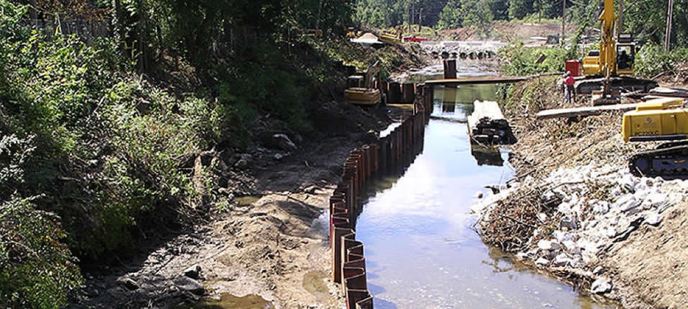 Do we have a right to a healthy environment?